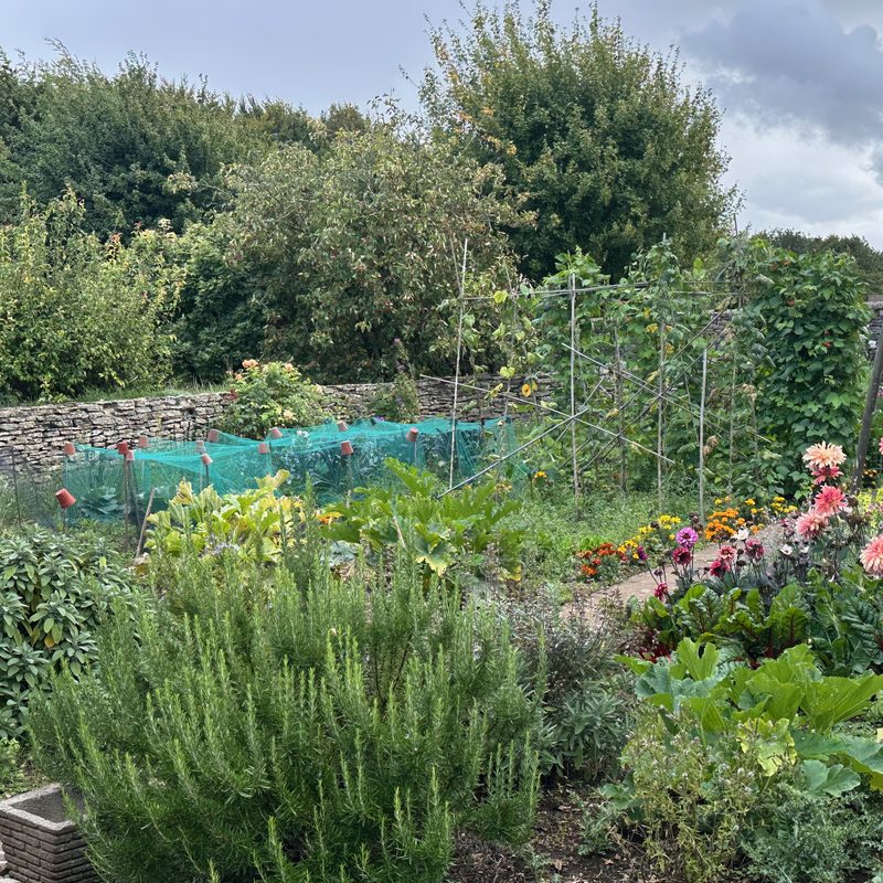 The walled vegetable garden in late summer